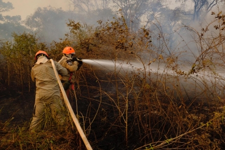 Inttegramed - Segurança do Trabalho Está proibido o uso do fogo para limpeza e manejo de áreas rurais em Mato Grosso entre os dias 1º de julho e 31 de outubro deste ano. A medida está prevista no decreto nº...